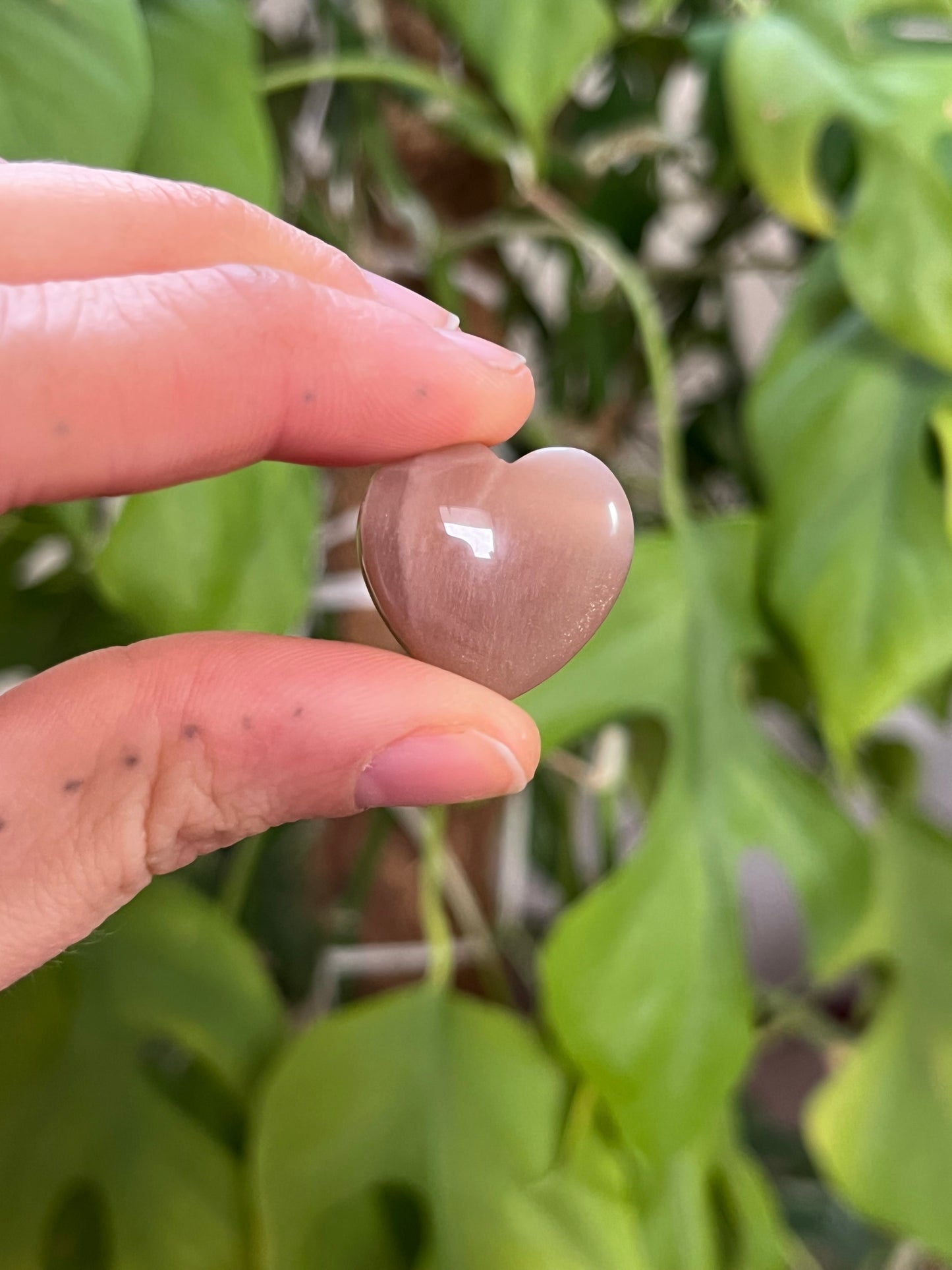 Pfirsich Mondstein Herz gebohrt AA Qualität