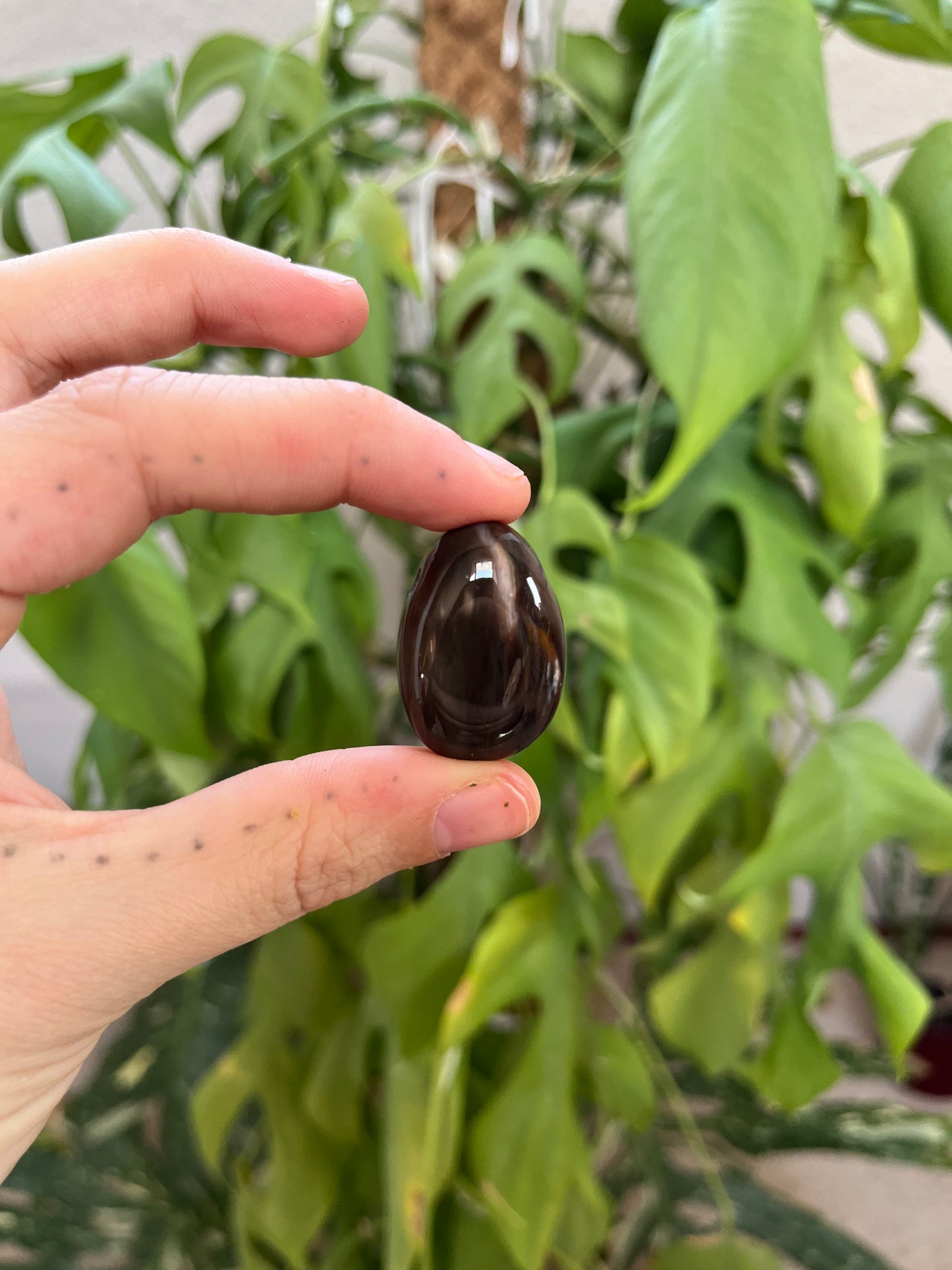 Versteinertes Holz gebohrter Trommelstein – Naturstein Anhänger Erdung & Ruhe