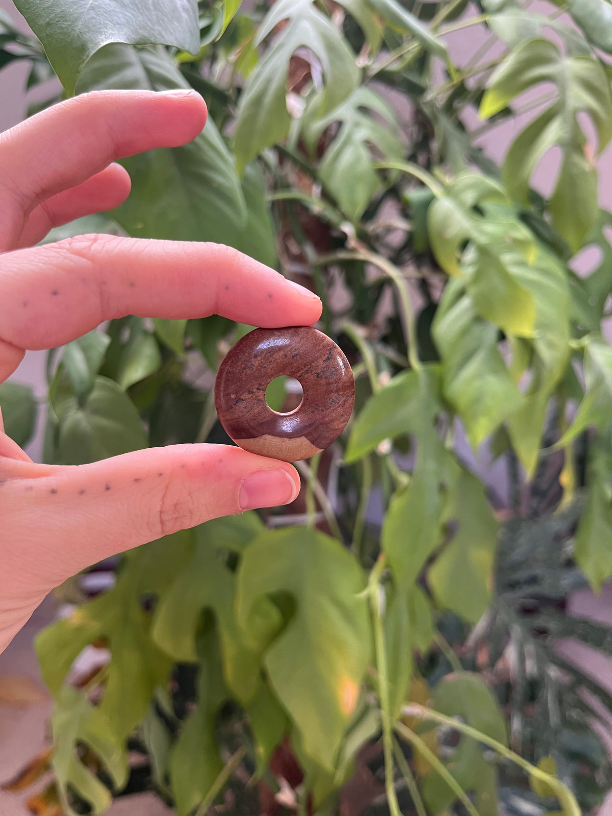 Bilderjaspis Donut 3 cm – Naturstein Anhänger mit Landschaftszeichnung