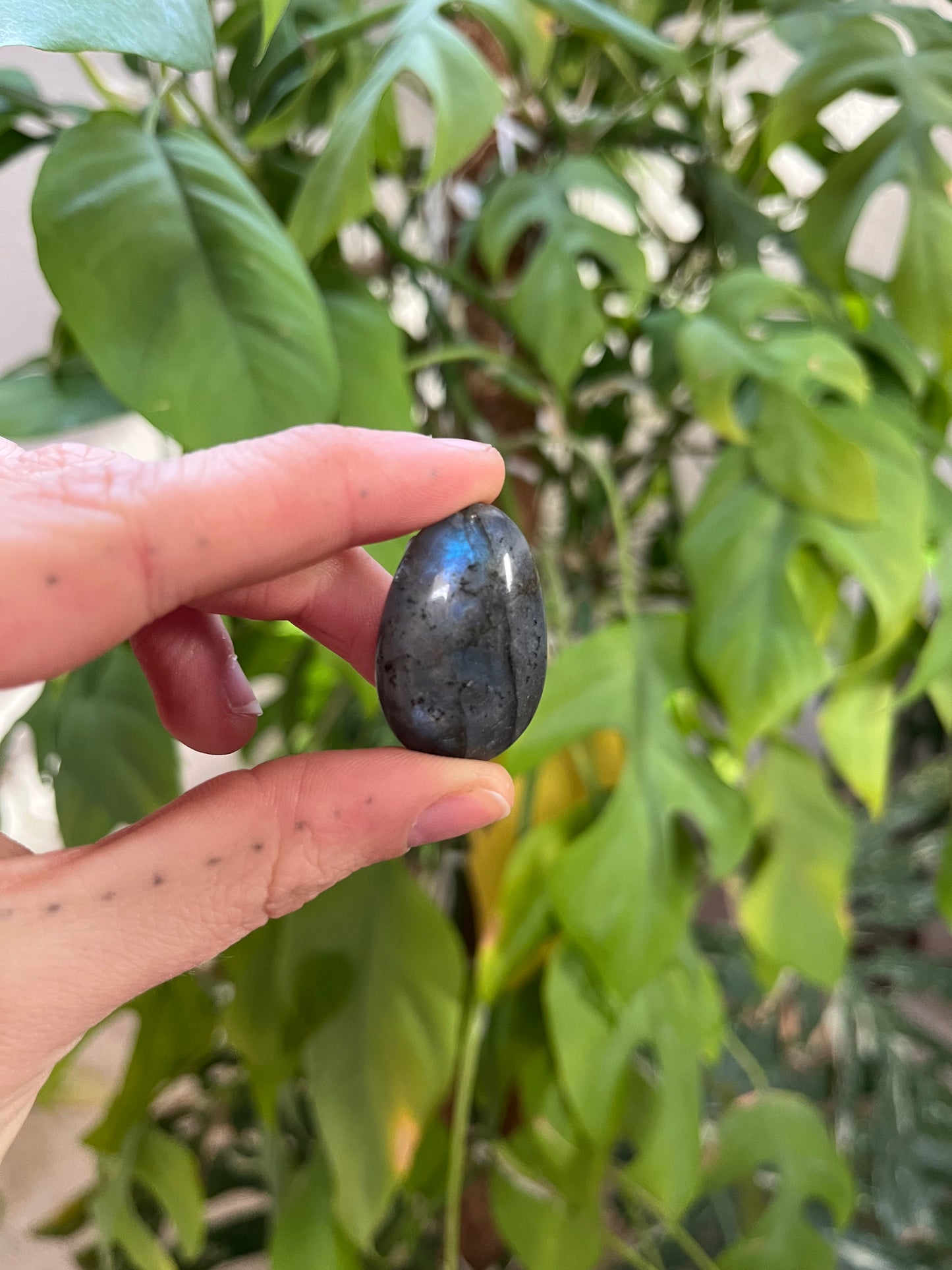 Labradorit Trommelstein gebohrt AA Qualität – Schimmer & Schutz