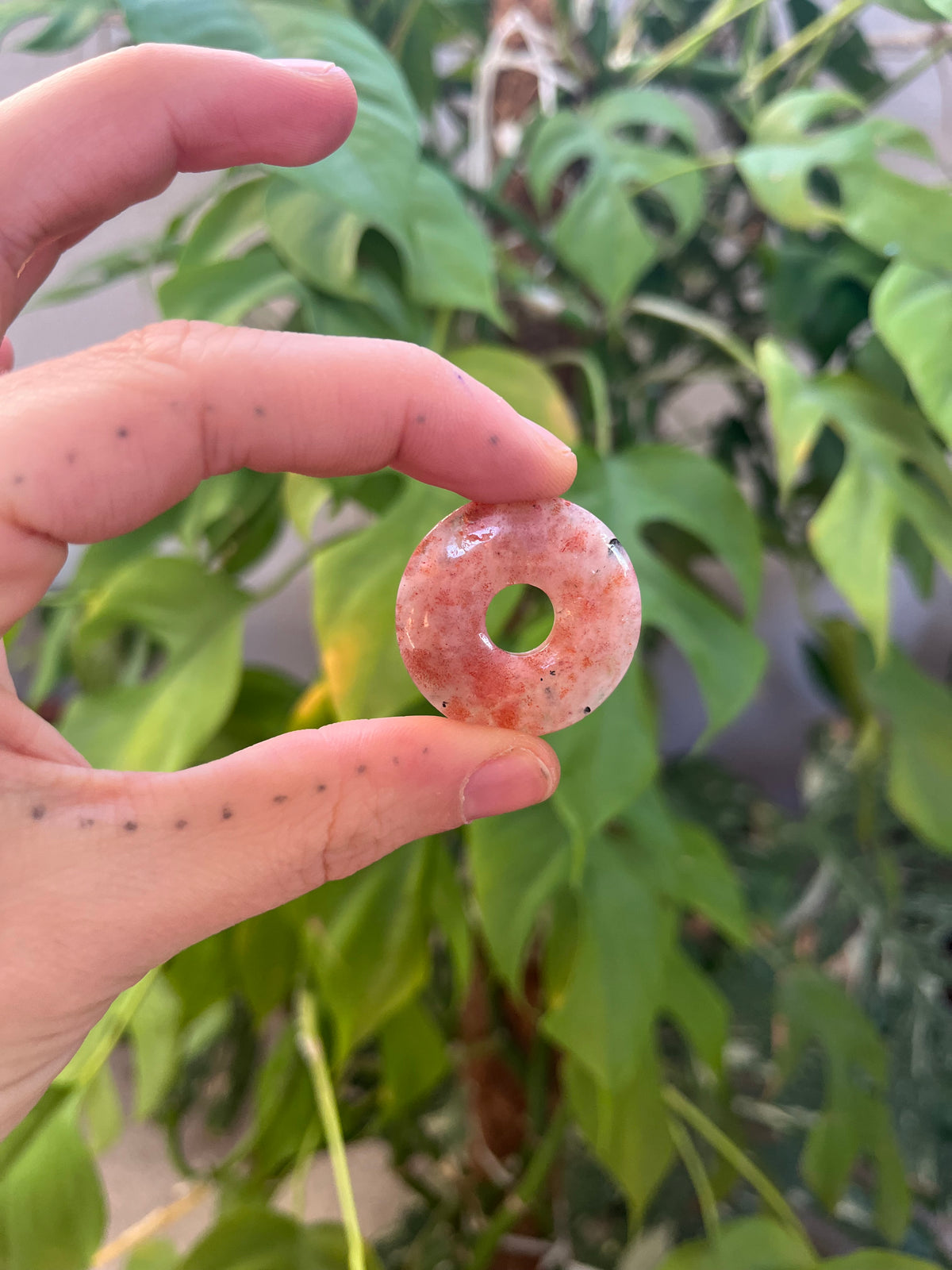 Sonnenstein Donut 3cm