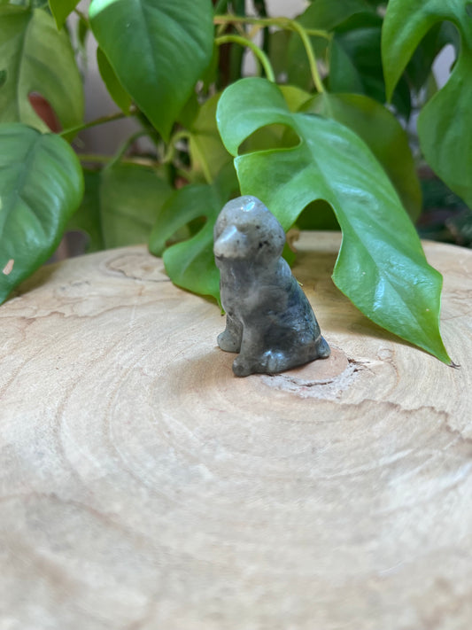 Labradorit Hund Gravur