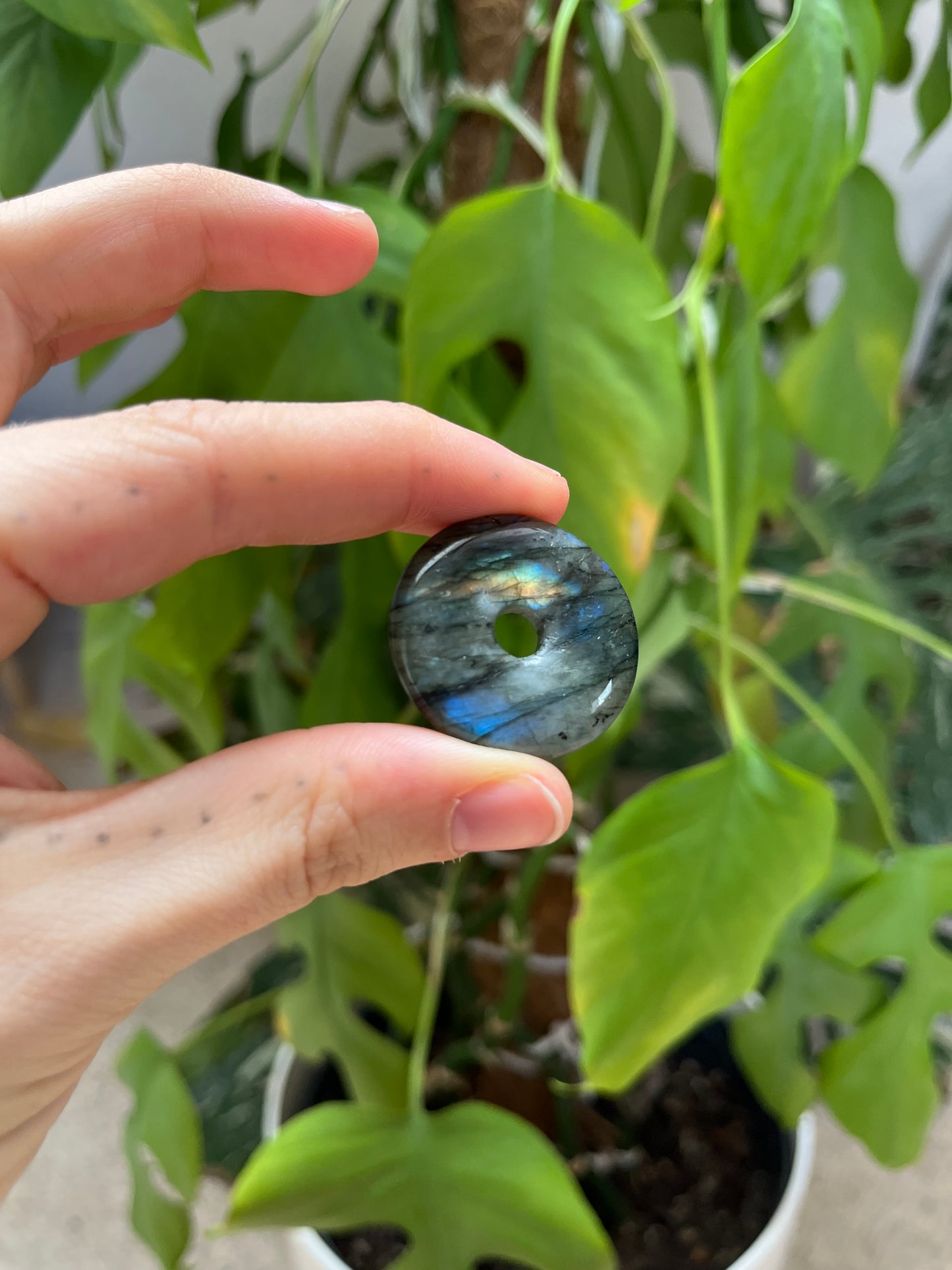 Labradorit Donut 3 cm AA Qualität – Schimmernder Edelstein Anhänger mit Farbspiel