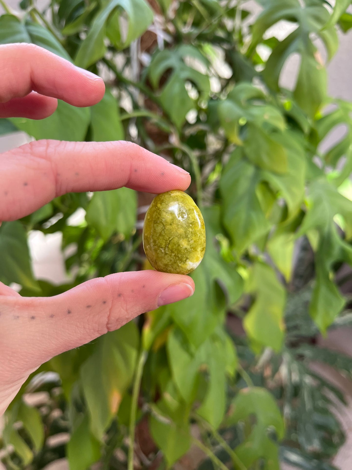 Lizardit Trommelstein gebohrt – Ruhe & Erdung