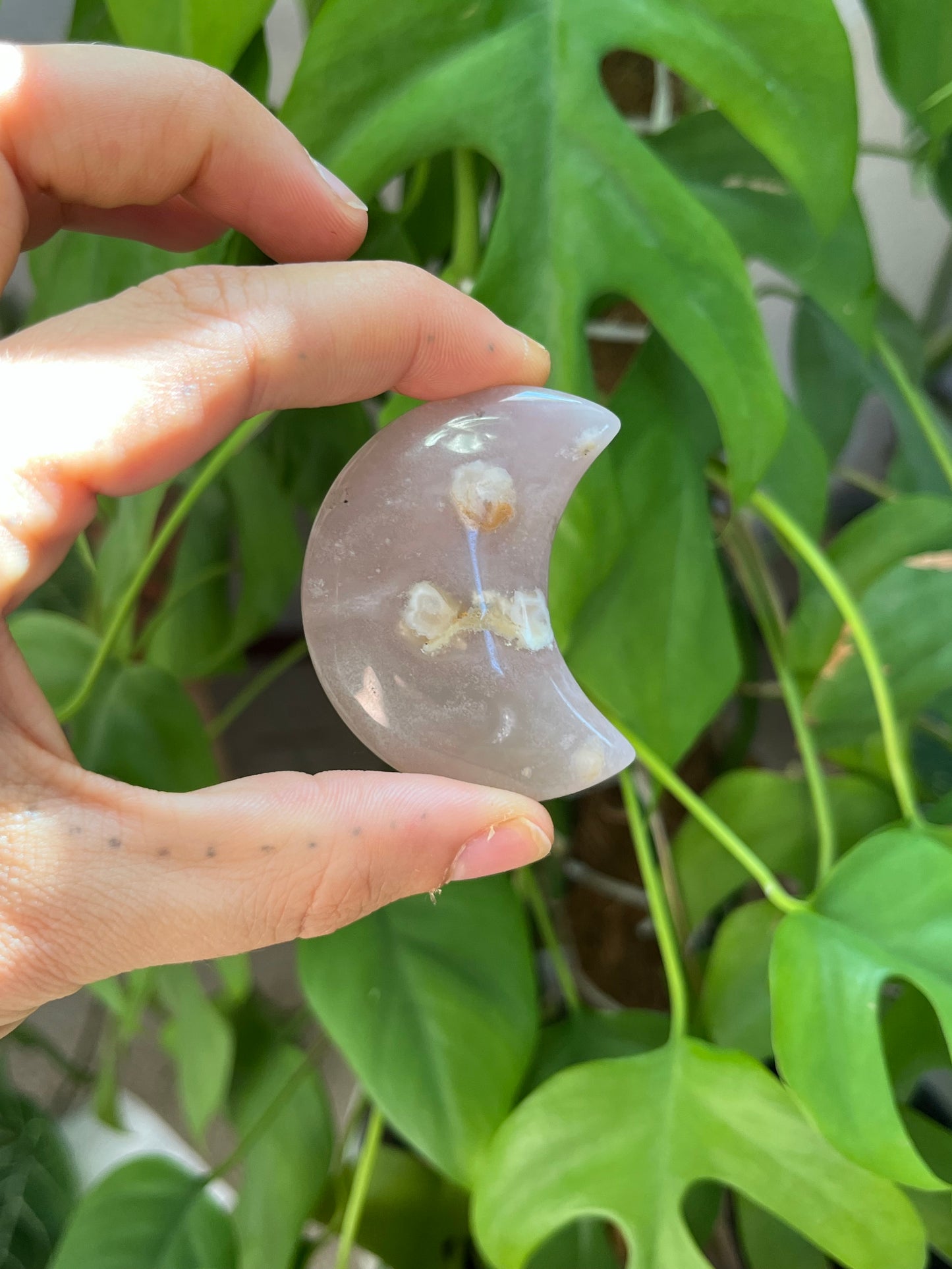 Blumenachat Mond Gravur - Wachstum, Intuition & Harmonie