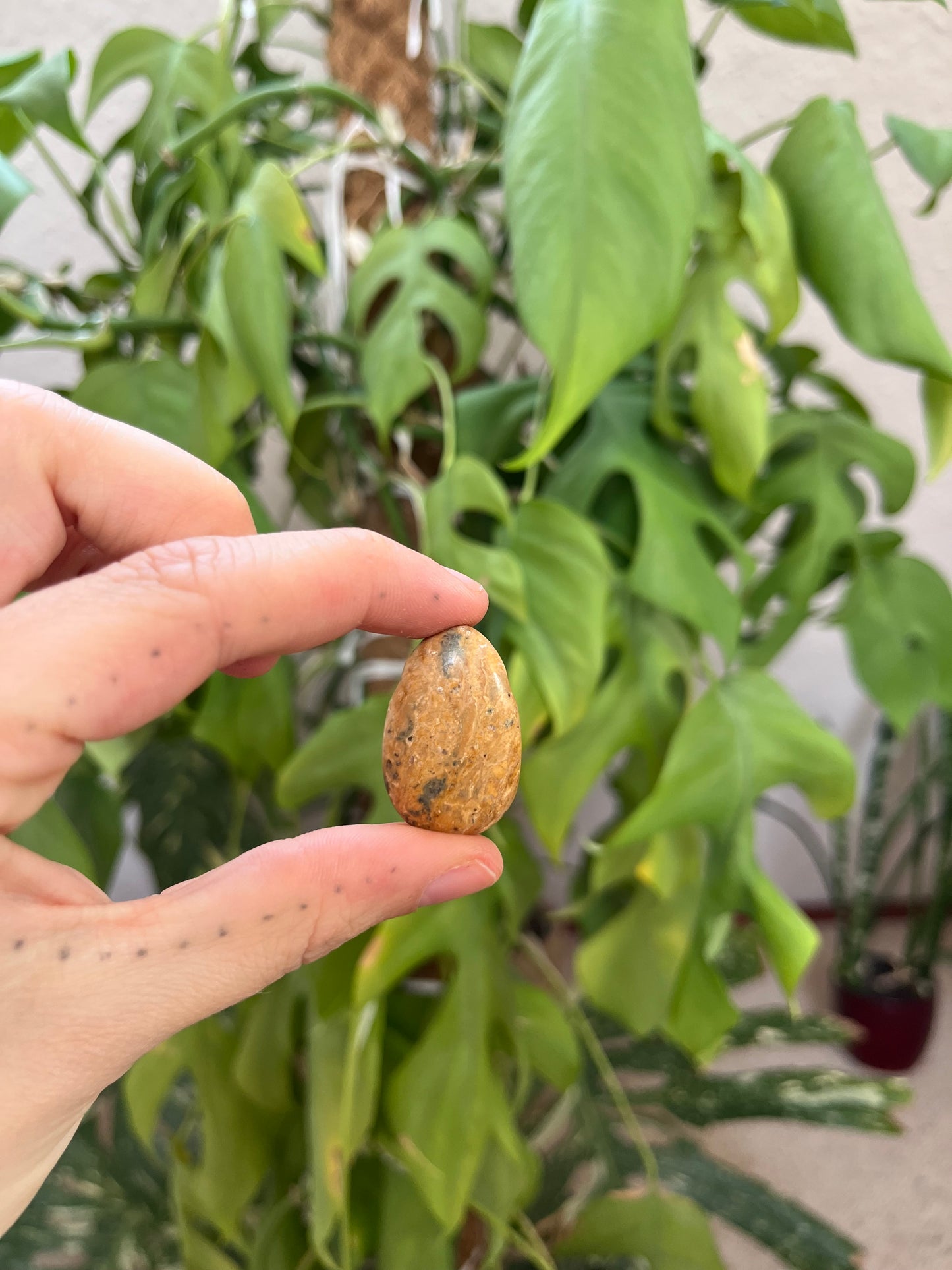 Leoparden Jaspis gelb Trommelstein gebohrt – Naturstein Anhänger Erdung & Kraft