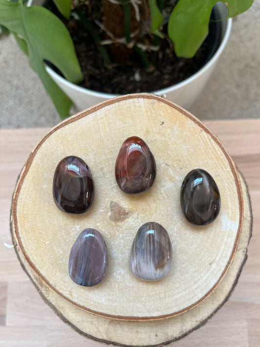 Versteinertes Holz gebohrter Trommelstein – Naturstein Anhänger Erdung & Ruhe