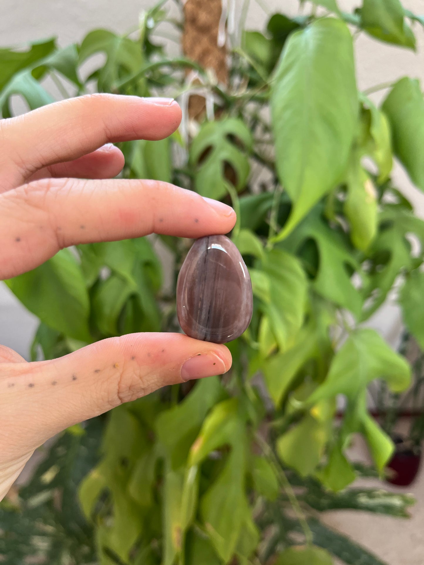 Versteinertes Holz gebohrter Trommelstein – Naturstein Anhänger Erdung & Ruhe